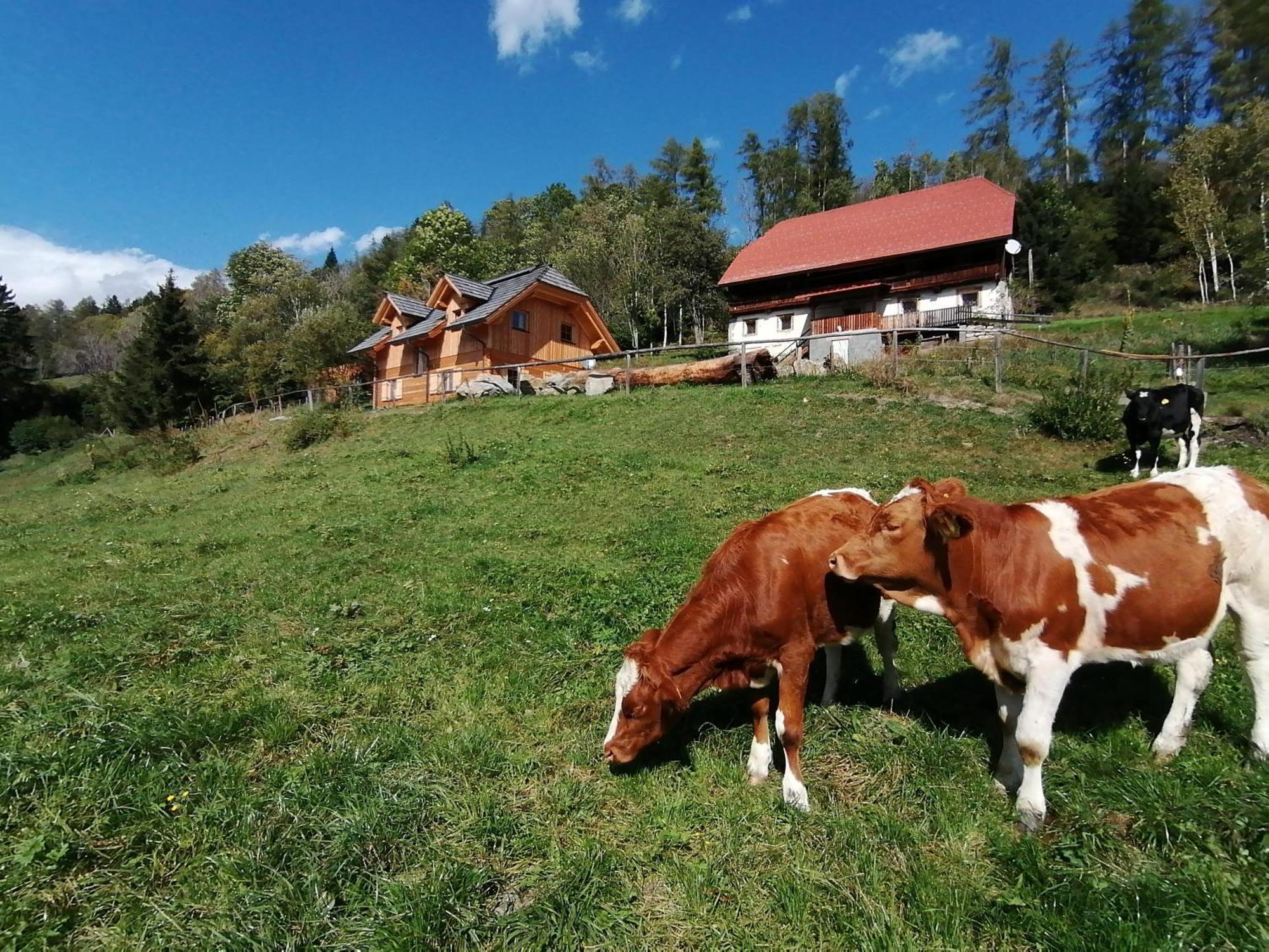 Sankt Peter am KammersbergLaerchenhaus ,,Unterer Brodl"别墅 外观 照片
