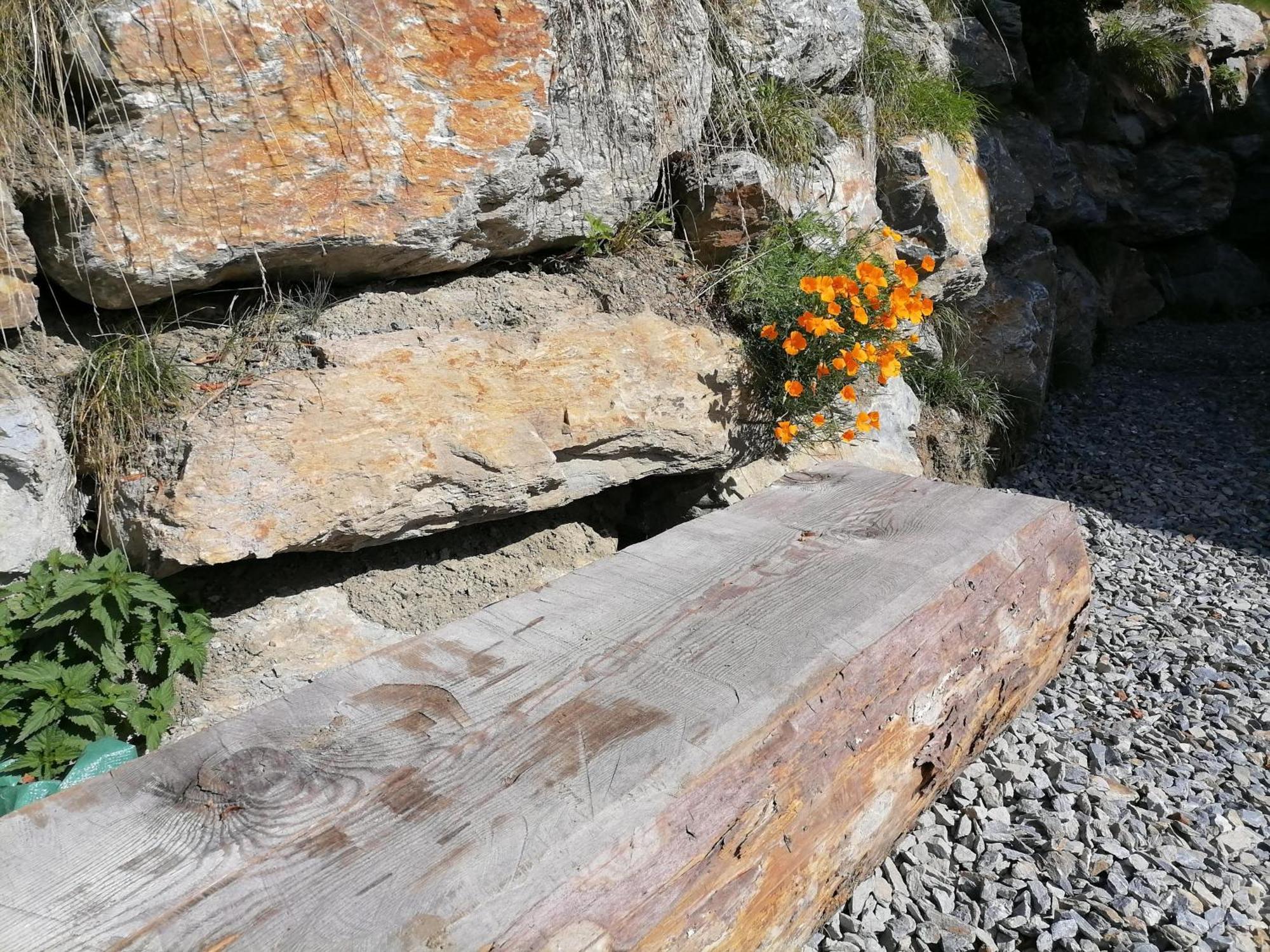 Sankt Peter am KammersbergLaerchenhaus ,,Unterer Brodl"别墅 外观 照片