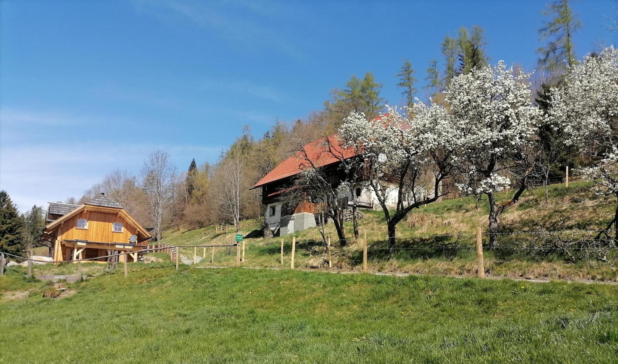 Sankt Peter am KammersbergLaerchenhaus ,,Unterer Brodl"别墅 外观 照片