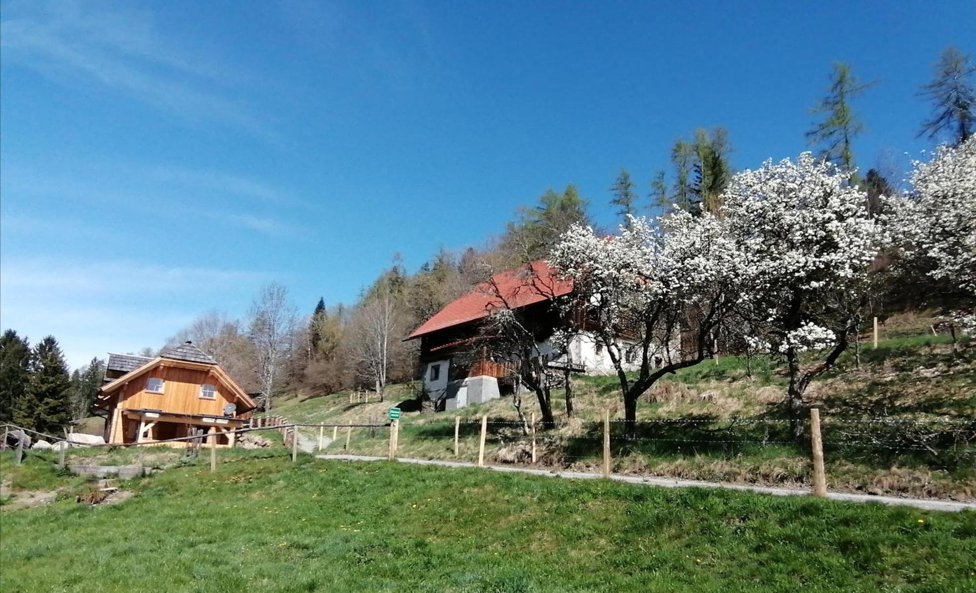 Sankt Peter am KammersbergLaerchenhaus ,,Unterer Brodl"别墅 外观 照片