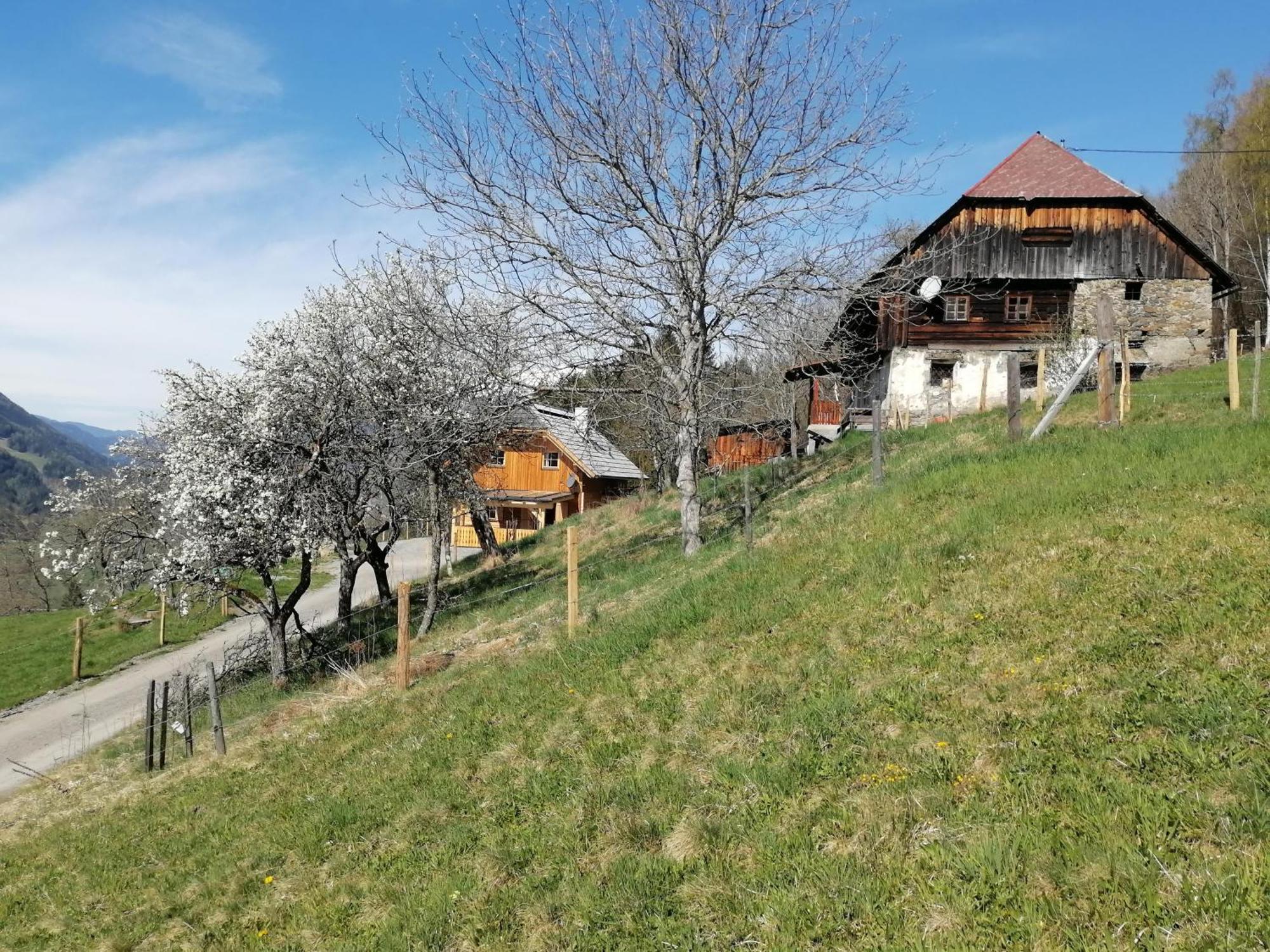 Sankt Peter am KammersbergLaerchenhaus ,,Unterer Brodl"别墅 外观 照片